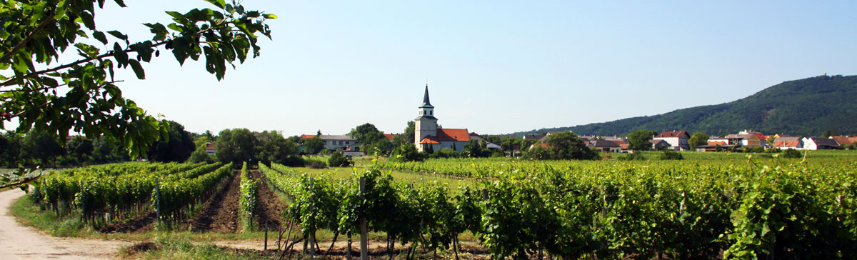 Weinort-Sooss-Panorama_1